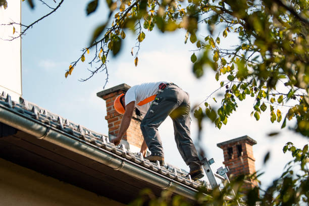 Best Green or Eco-Friendly Roofing Solutions  in Clawson, MI