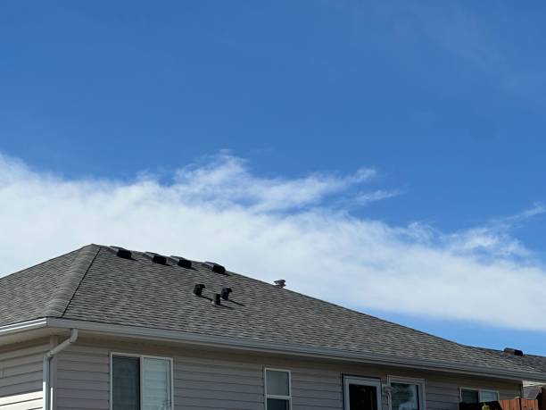Best Roof Moss and Algae Removal  in Clawson, MI